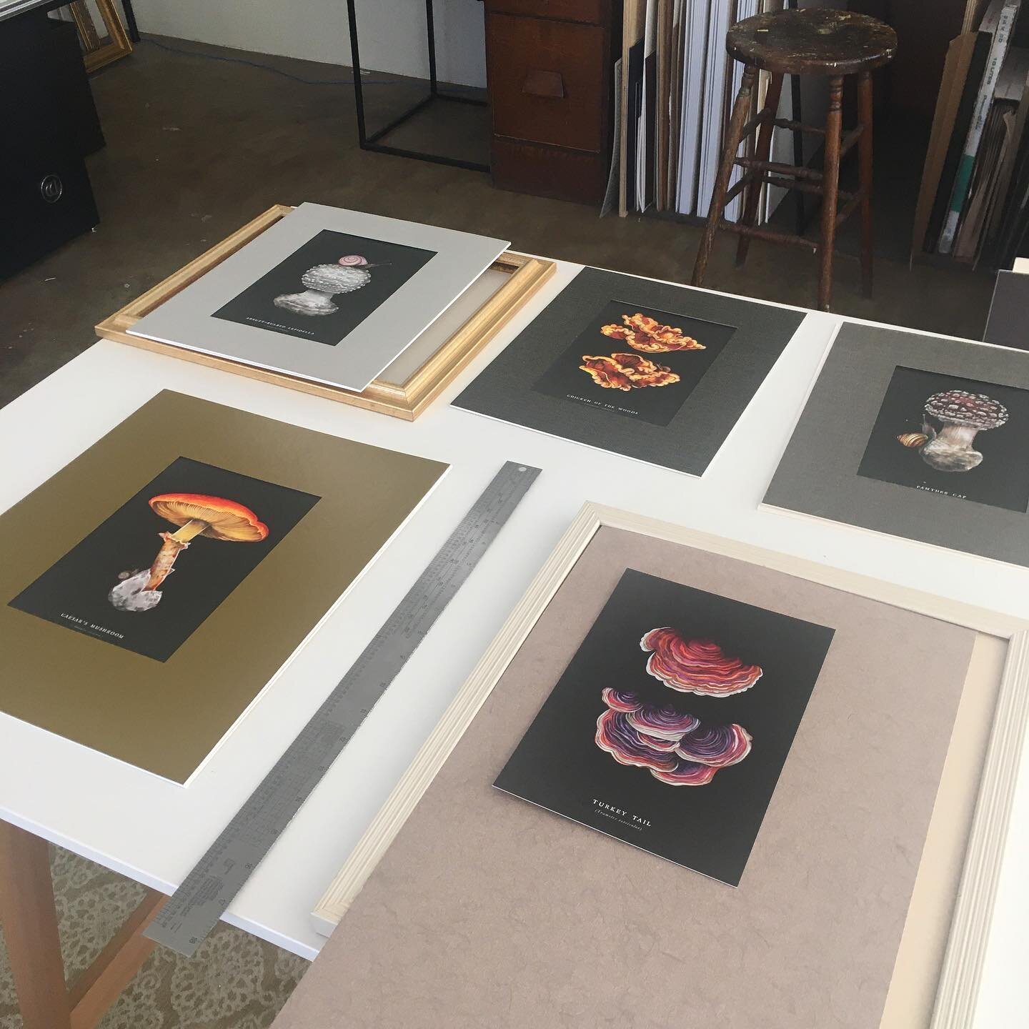 Putting together this sweet collection of mushroom illustrations today 🍄☺️
Special thanks to @maeganmayhem for the content ✨
#customframing #frameshop #artistrun #smallbiz #illustrations