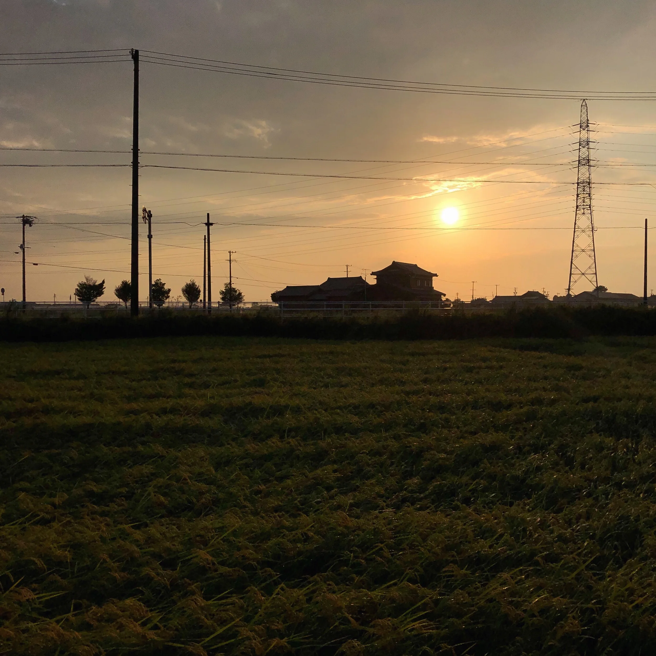 Anjo, Japão | agosto 2019