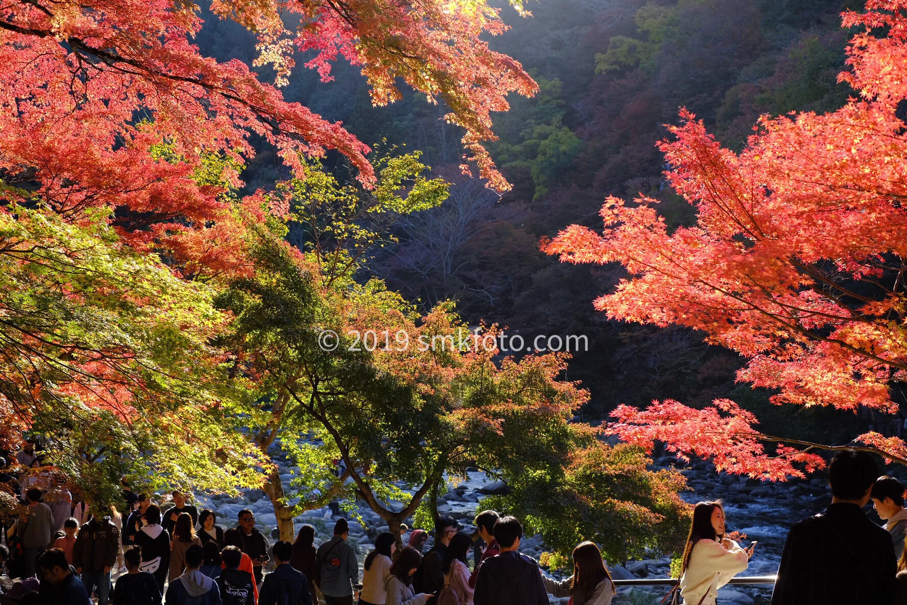 Toyota, Japão | novembro 2019