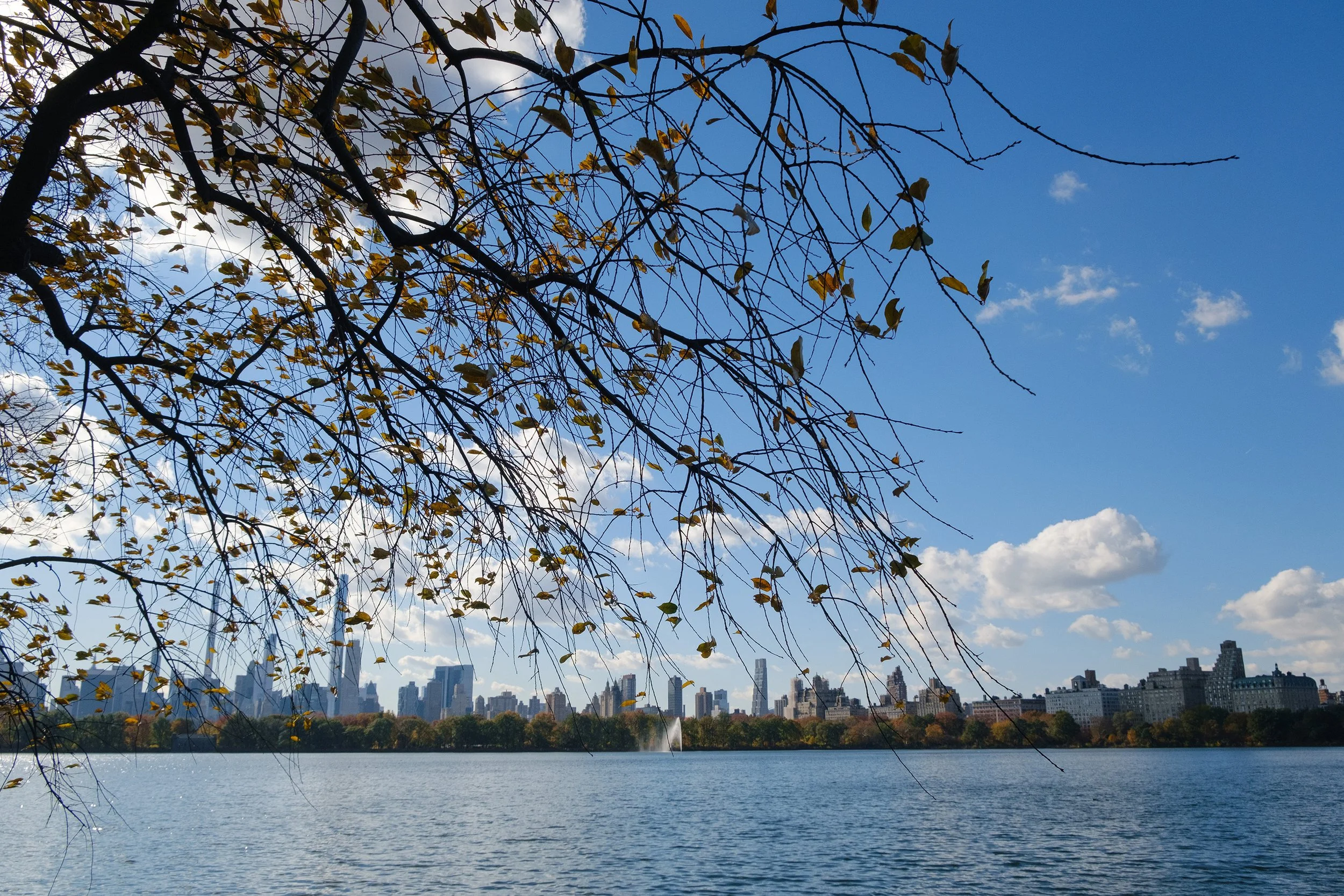 Central Park, Nova York (2021)