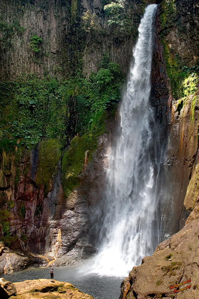 Toro Amarillo, Costa Rica