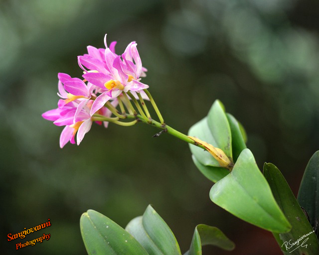 image007.png