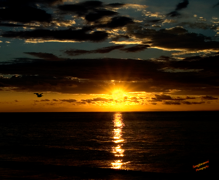 Punta Leona, Costa Rica