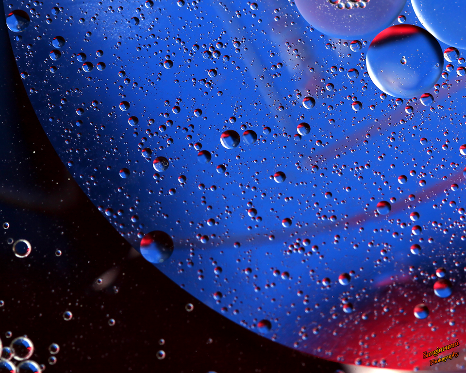 IMG_0005.png
