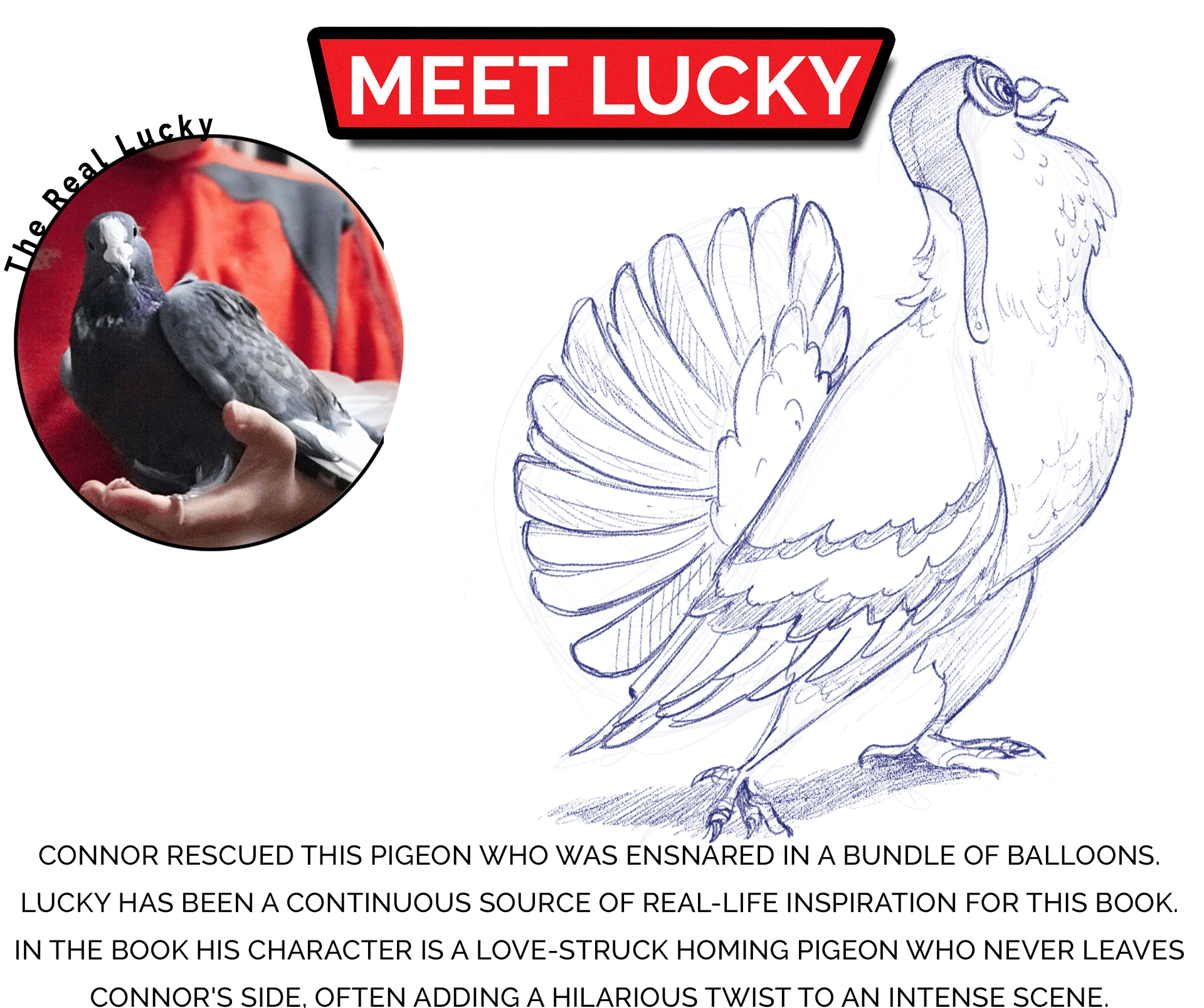 character-profiles-animated---lucky-looping-04.gif