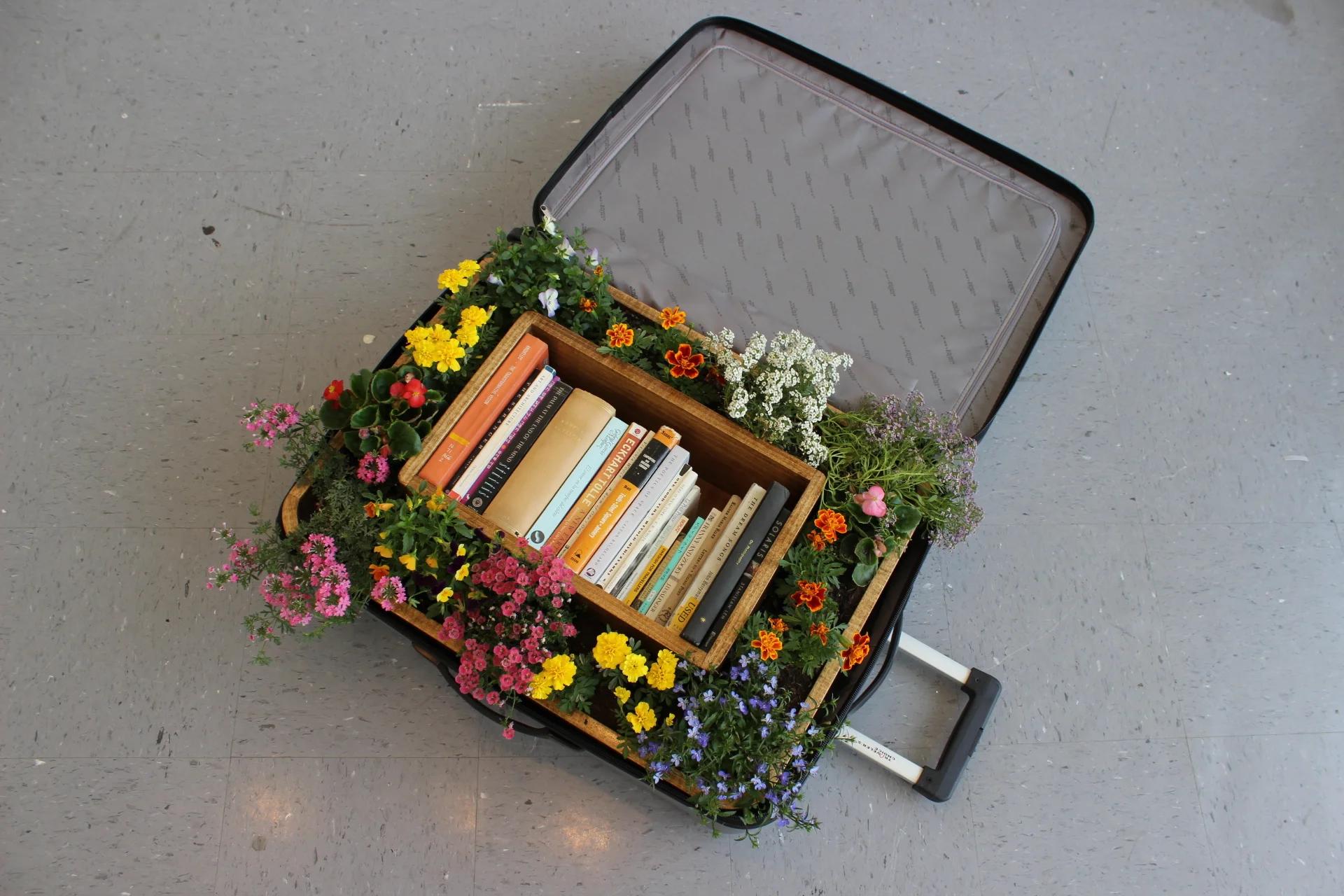 Traveler's Choice®