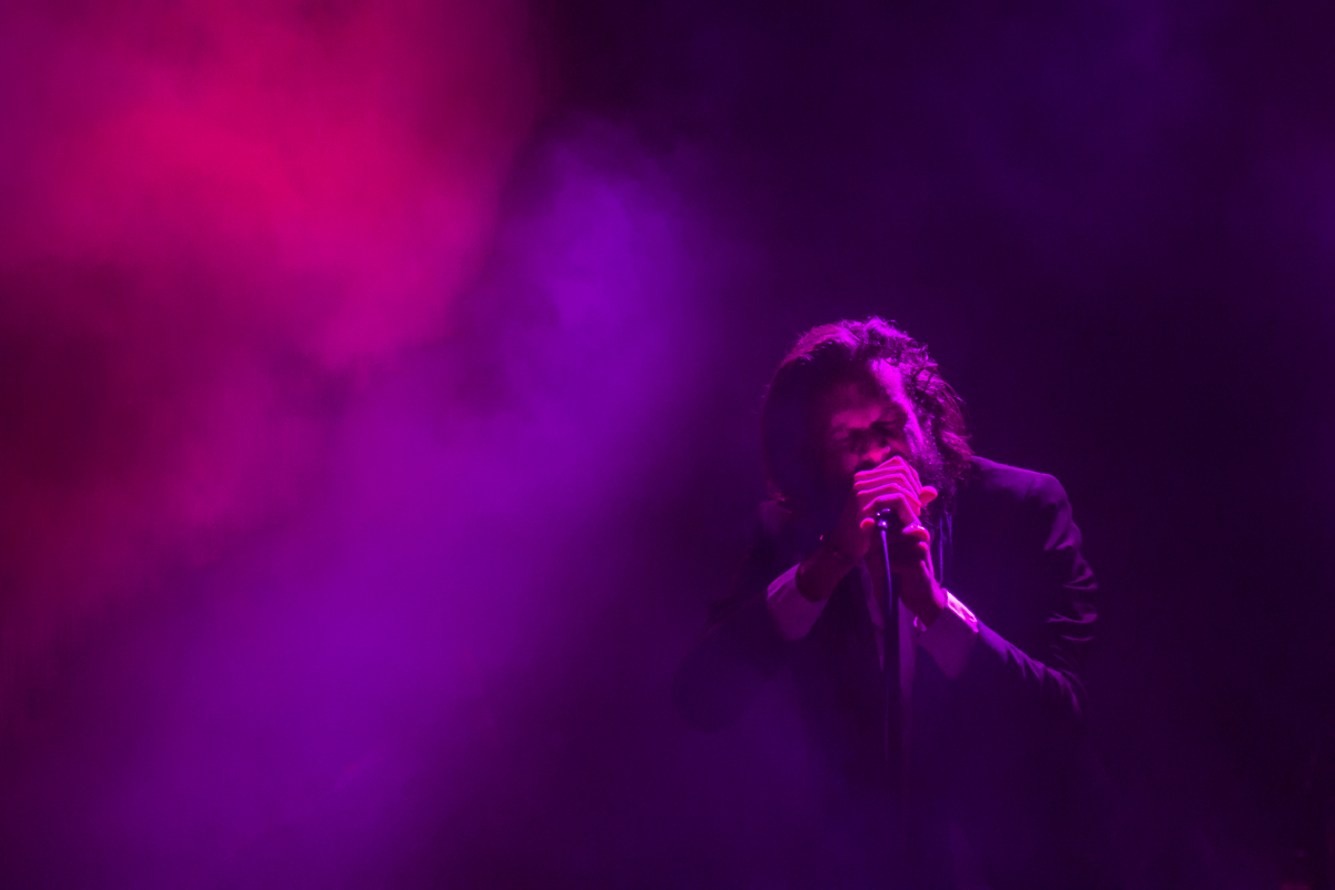 sasquatch 2015- kim jay - concert photographer048.jpg