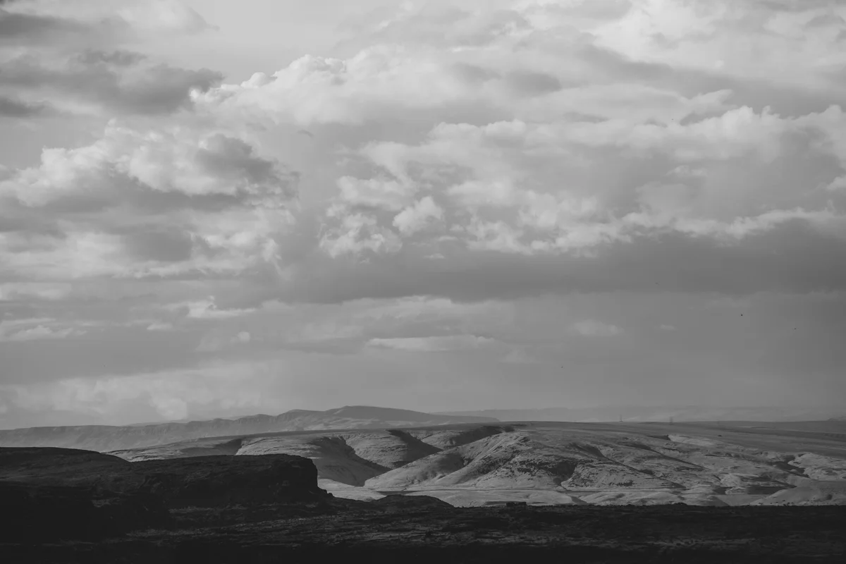 sasquatch 2015- kim jay - concert photographer070.jpg