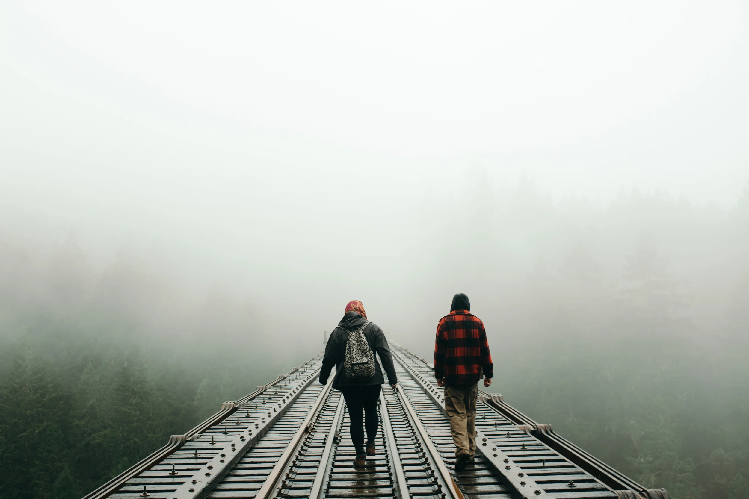 stocksy - kim jay photo - goldstream fog-2.jpg
