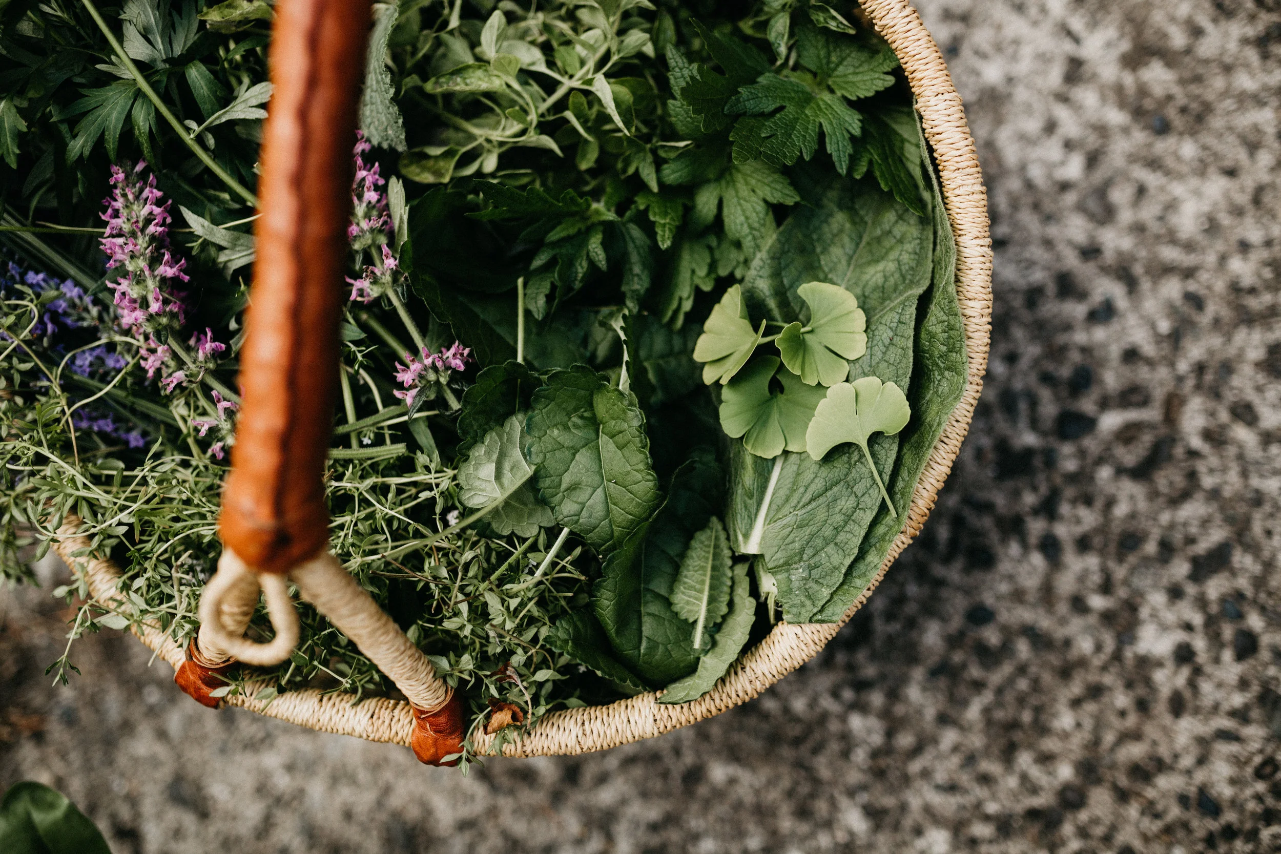 Mindful Medicine - harvest summer 2017-42.jpg