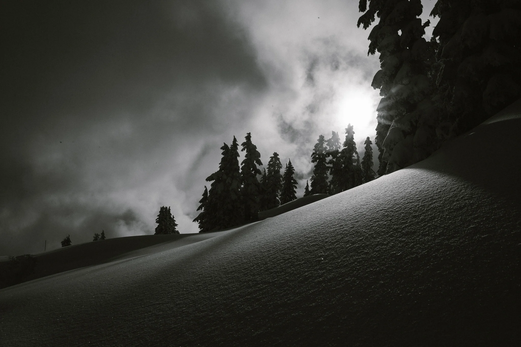 elfin lakes snowshowing-march-17.jpg