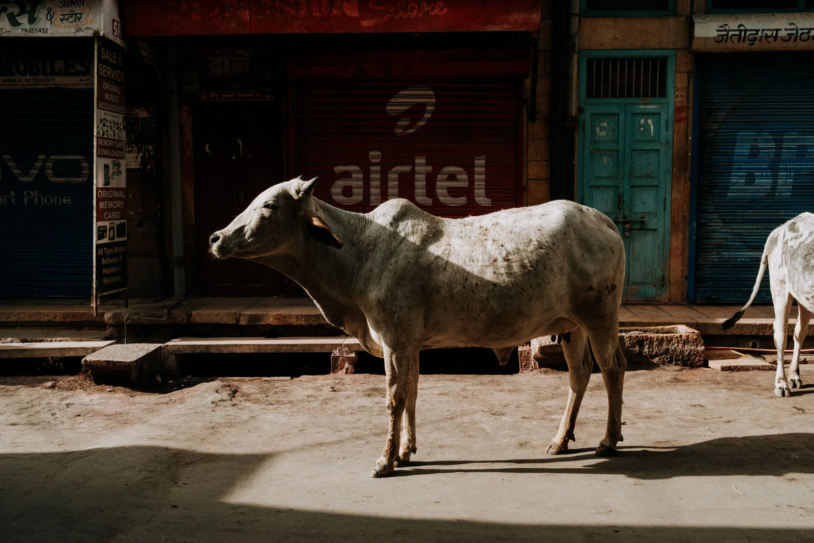 India - travel photographer - kim jay-33.jpg