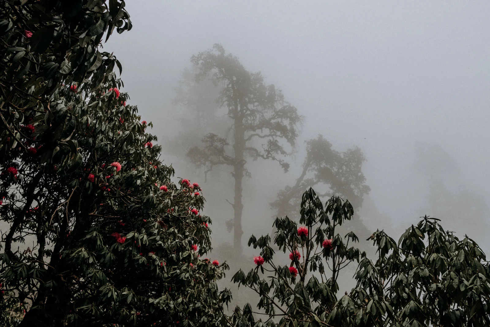 India - travel photographer - kim jay-139.jpg