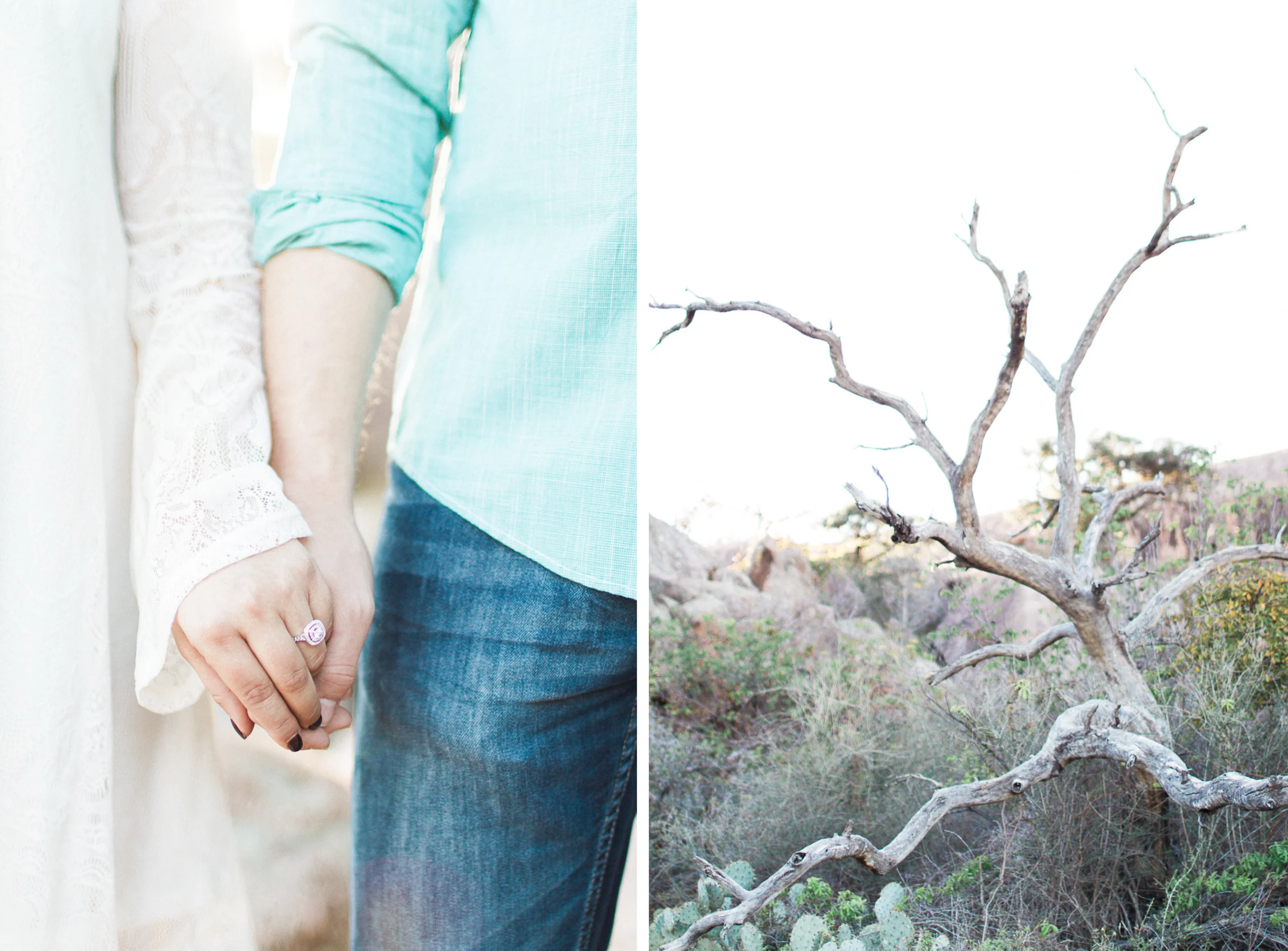 diptych4.jpg