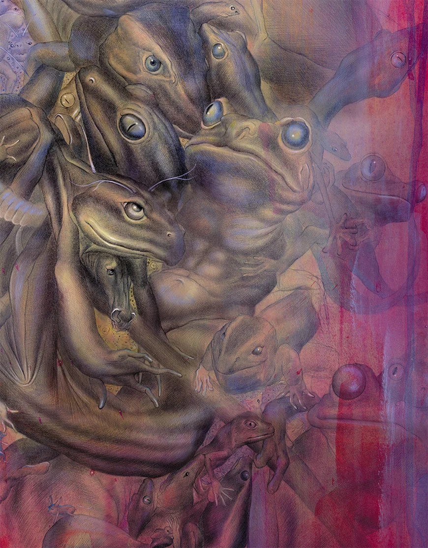 SapicidioII detail.jpg