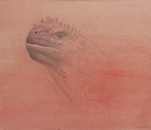 Iguana Mecanica