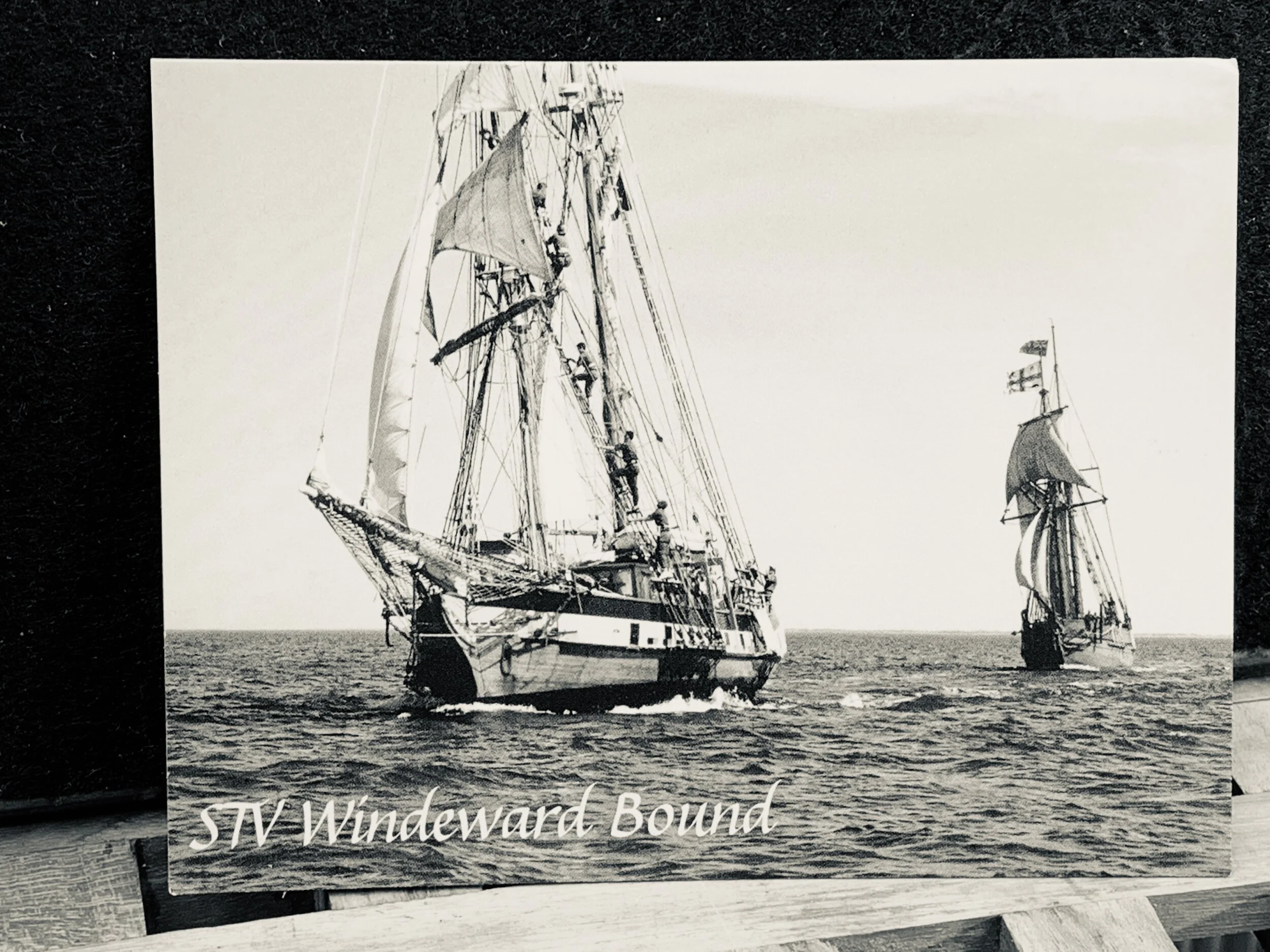 POST CARD 2 SEPIA.JPG