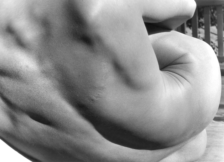 Spiral Back, 1930