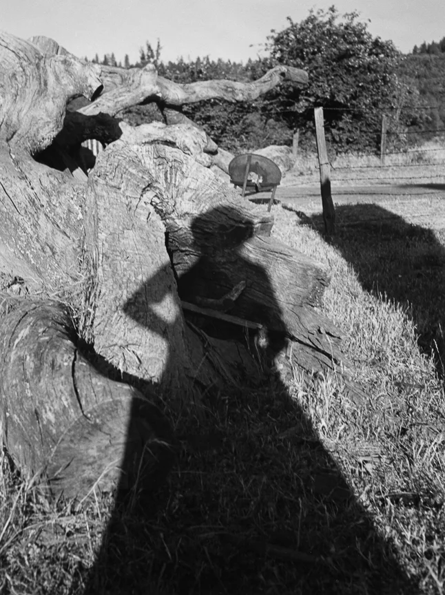 Self Portrait, Grass Valley 3, 1946