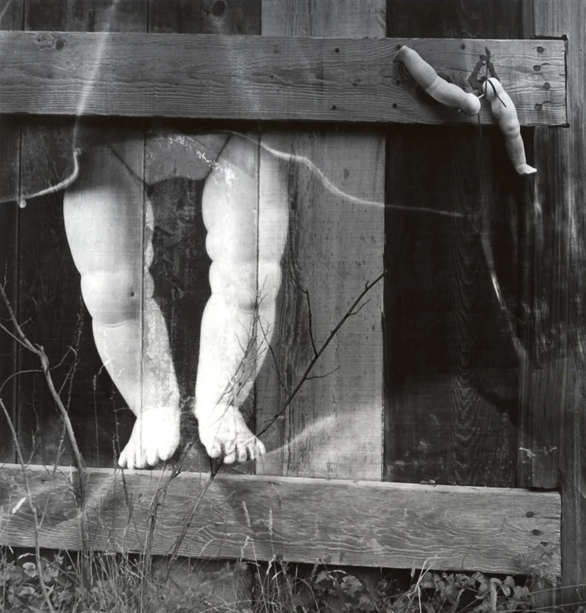 Fence in Mendocino, 1971-1973