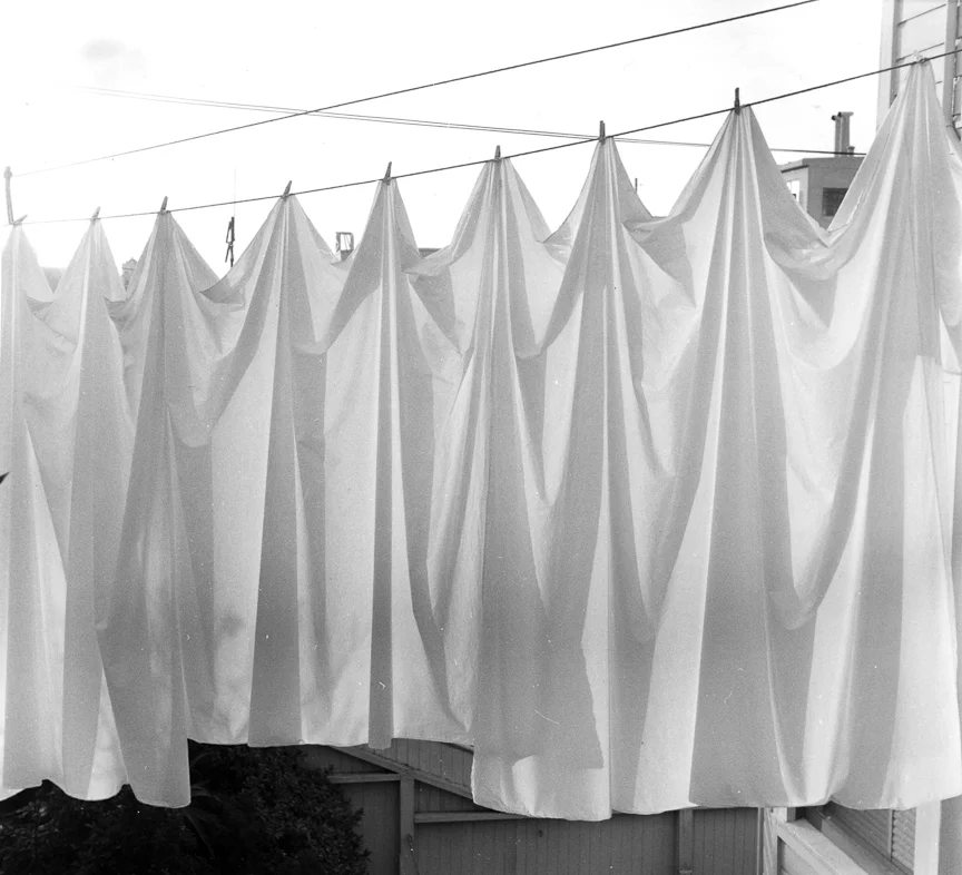 Laundry Line, nd