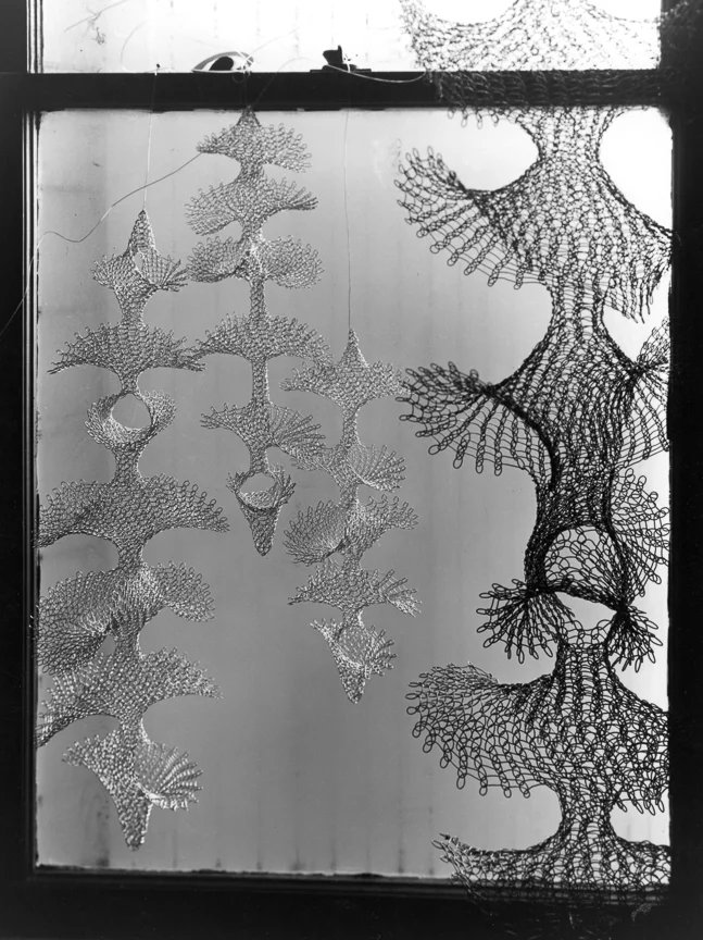 Ruth Asawa's Sculpture through the Window, 1956