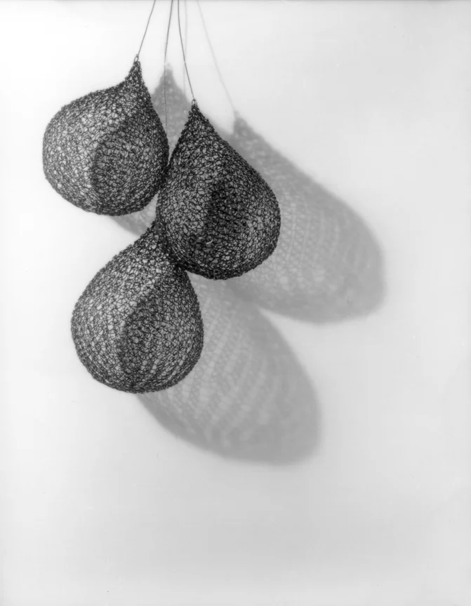 Ruth Asawa's Wire Sculpture 31, nd