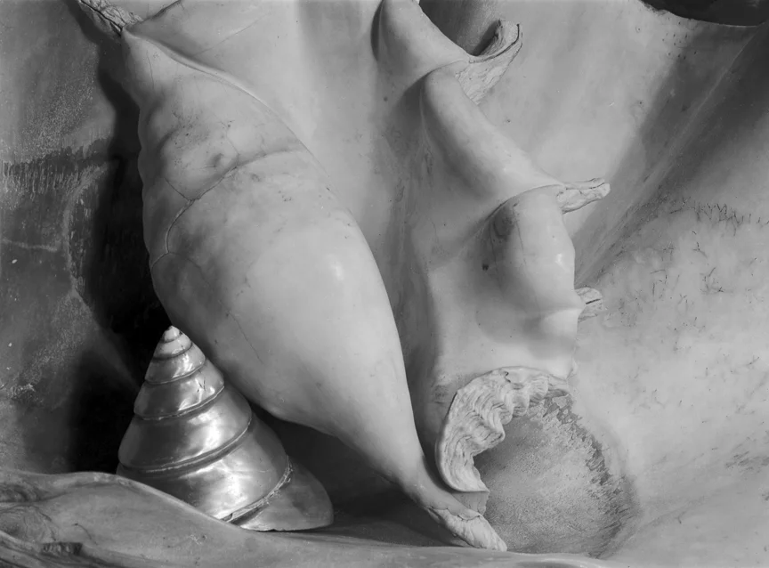 Shells 2, 1930
