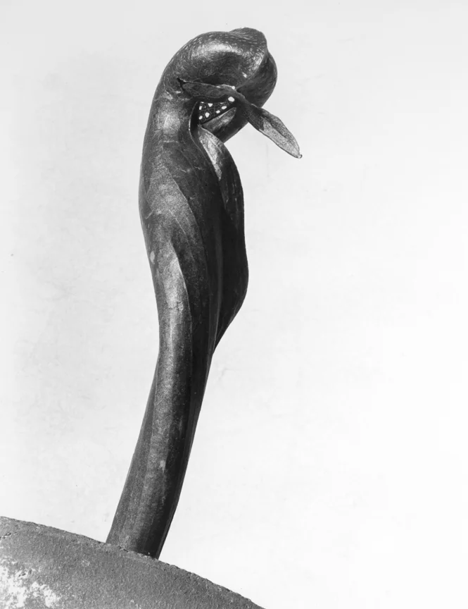 Pitcher Plant, about 1930