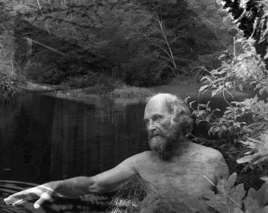 Pentimento, 1973