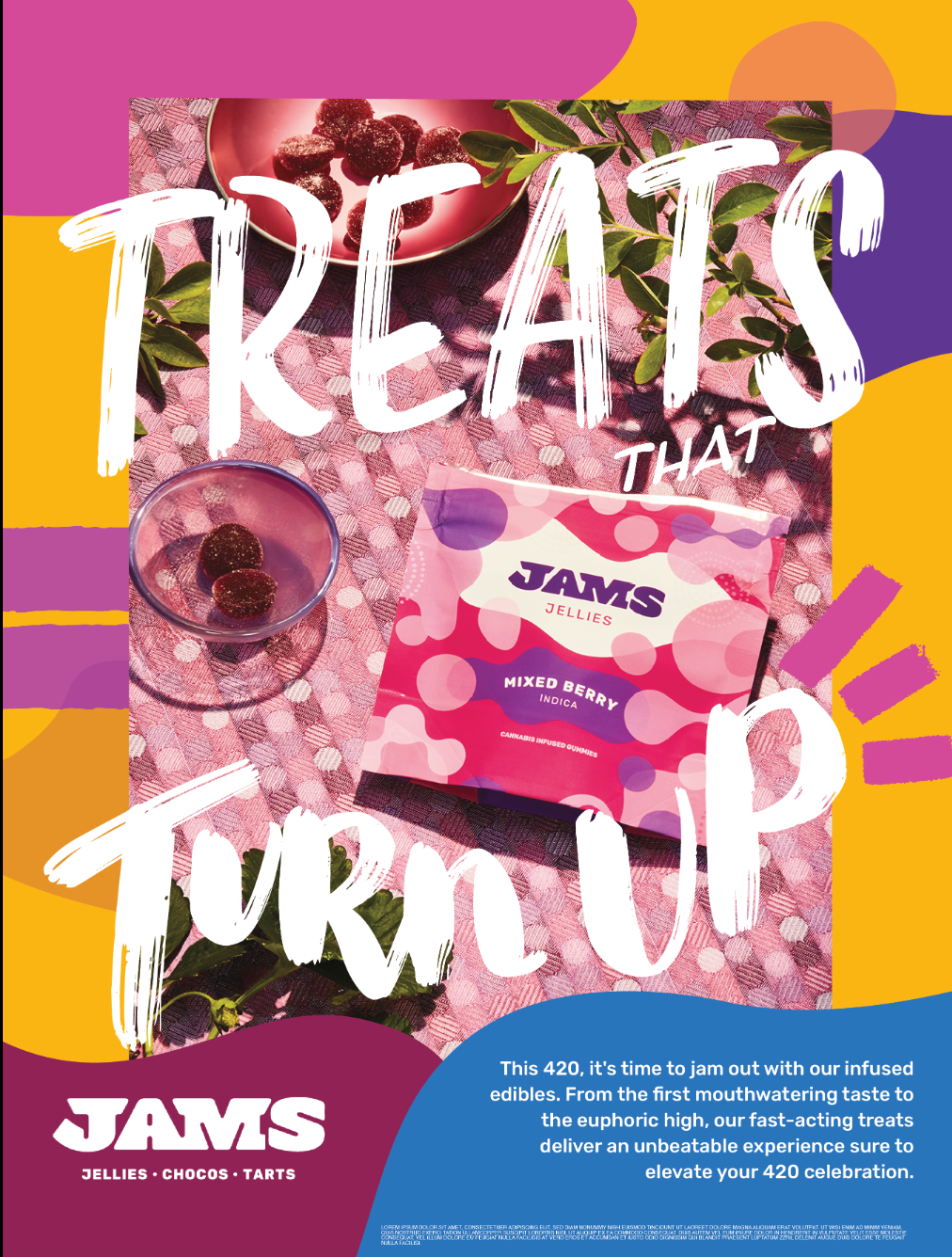 Screenshot 2024-03-26 at 11.49.24 AM.png