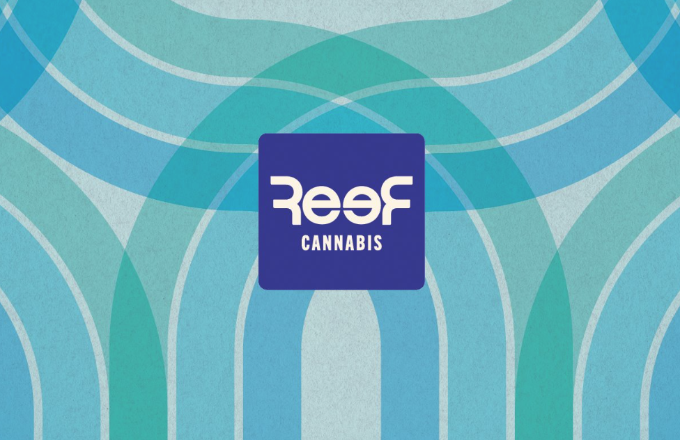 Screenshot 2024-12-02 at 12.44.58 PM.png