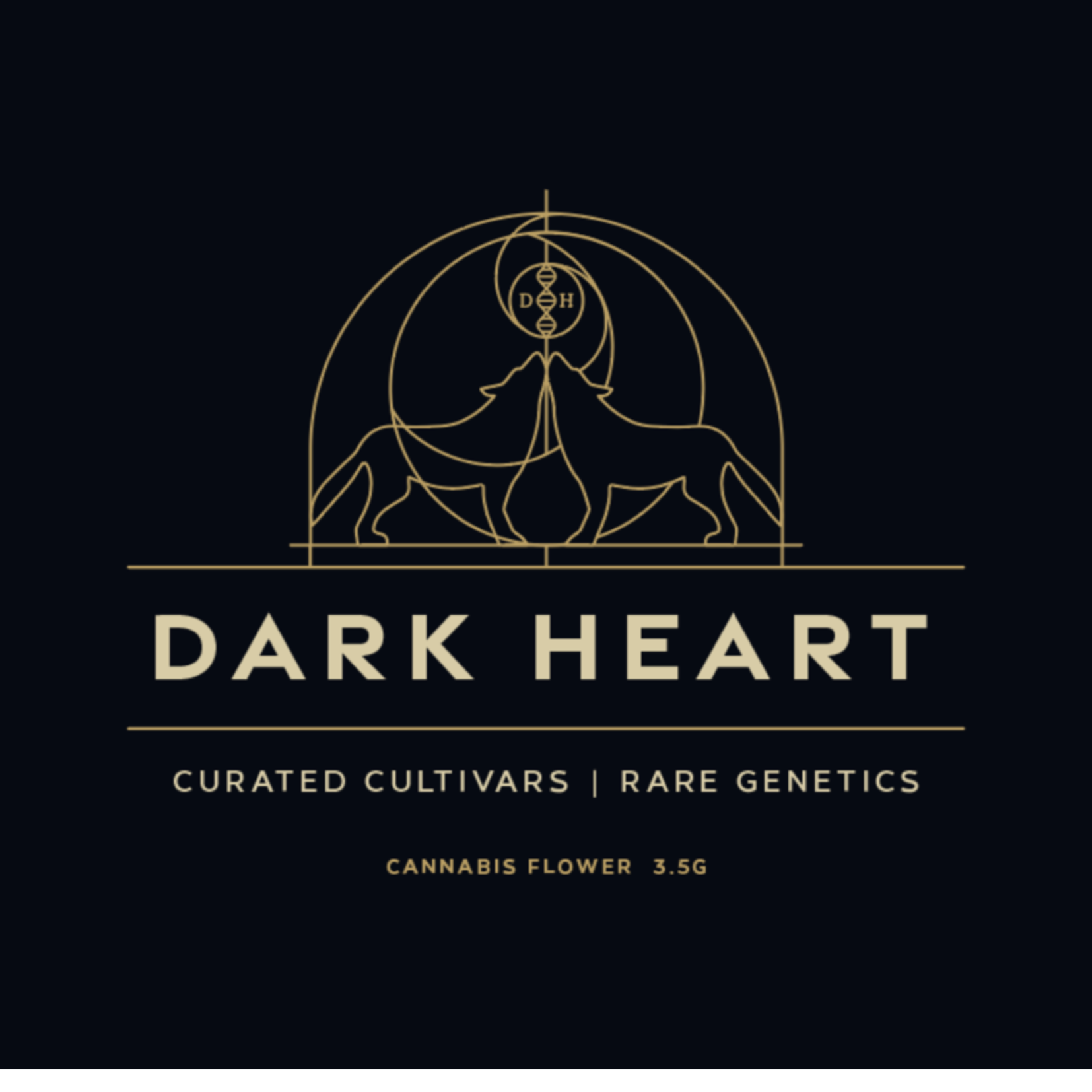 Untitled design (5).png