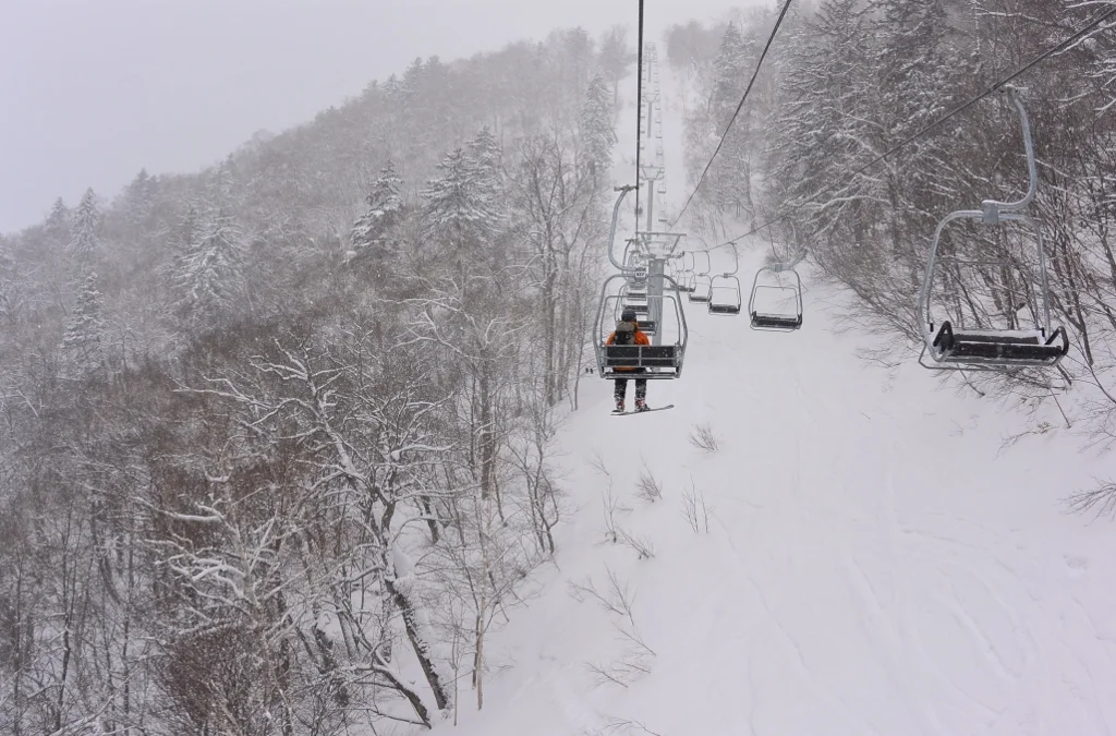 The Link Chair. Your ticket to good times. © The Powder Project Pty Ltd