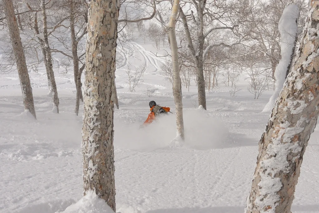 Resort Write Up: Asahidake