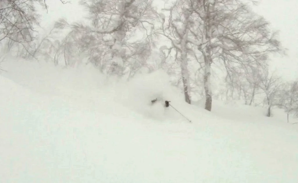 Terrible visibility + great snow = good times. © The Powder Project Pty Ltd
