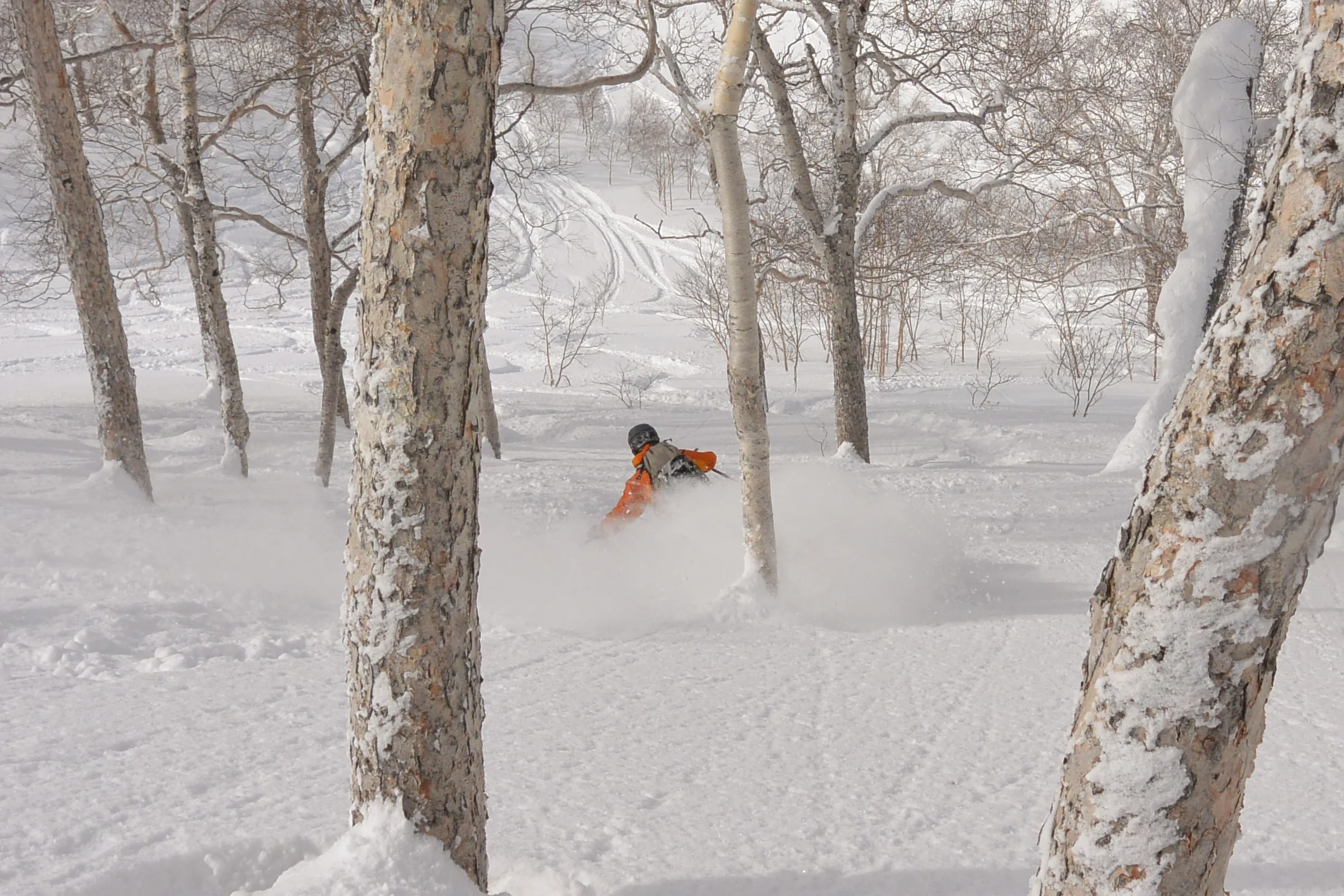 Fresh tracks after lunch on a bluebird powder day? Check. © The Powder Project Pty Ltd