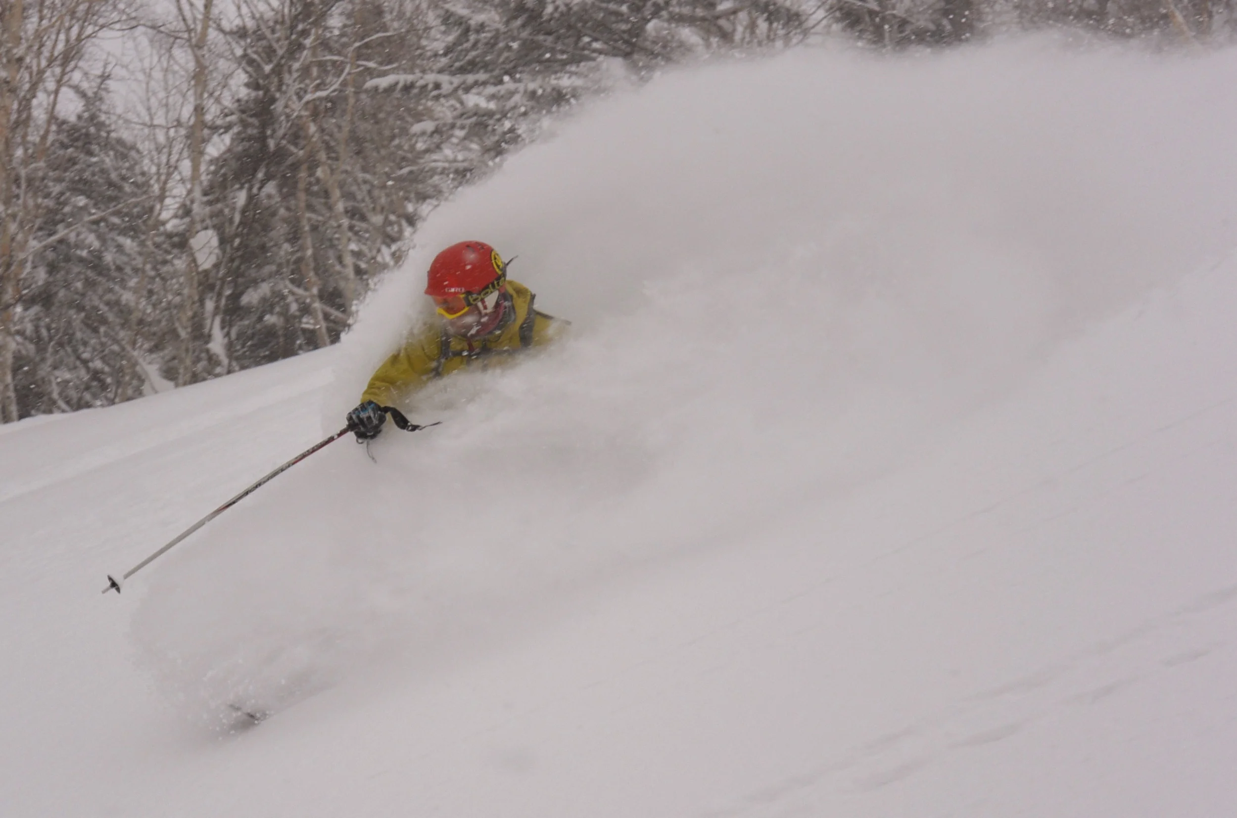 Hokkaido cold smoke. © The Powder Project Pty Ltd