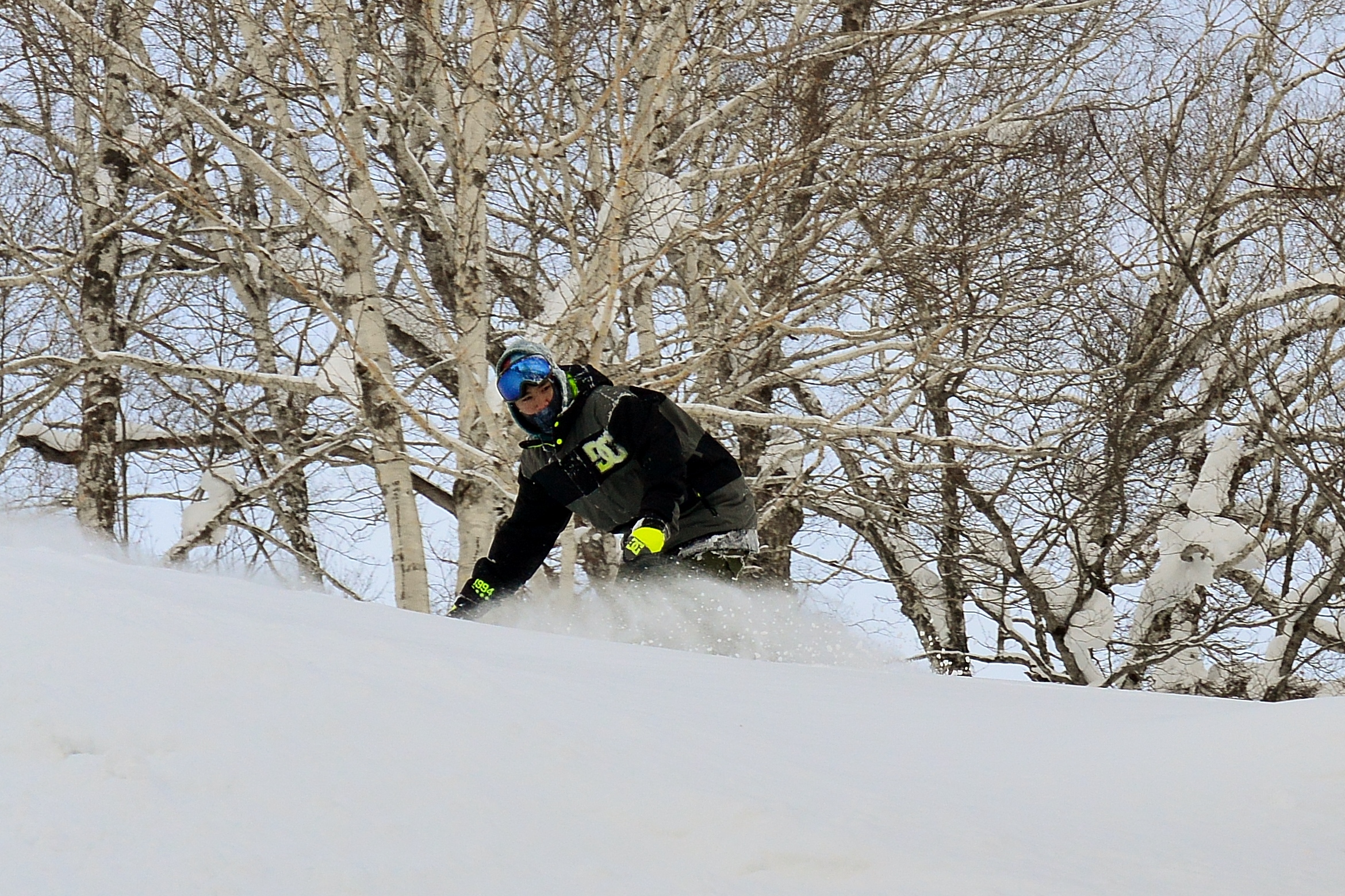 Sun's out. Time to ride pow. © The Powder Project Pty Ltd