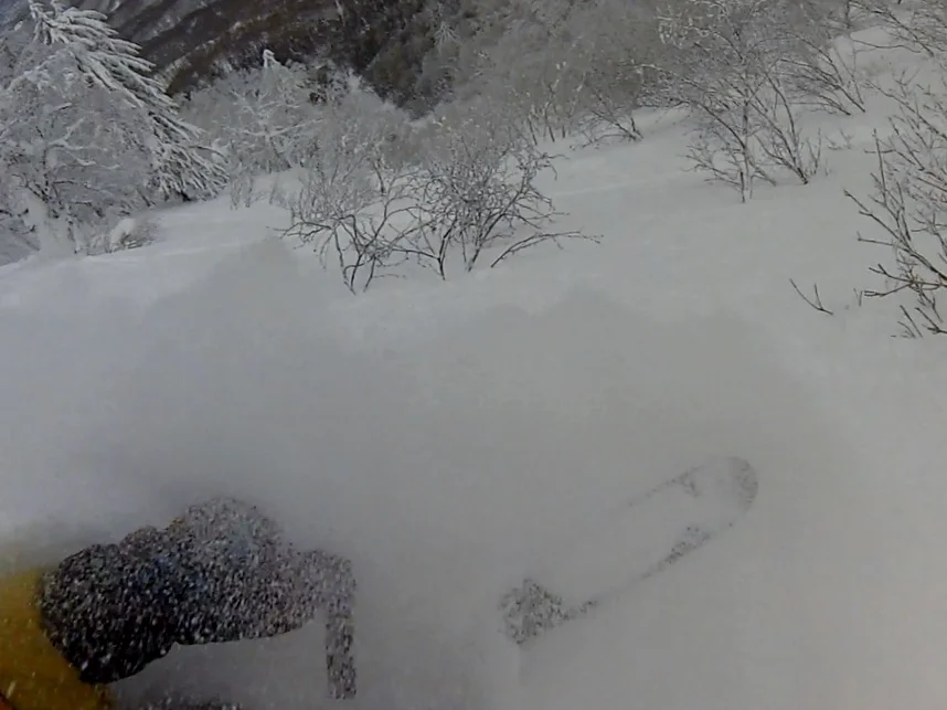 Faceshot incoming. Windscreen-wiper goggle conditions. © The Powder Project Pty Ltd