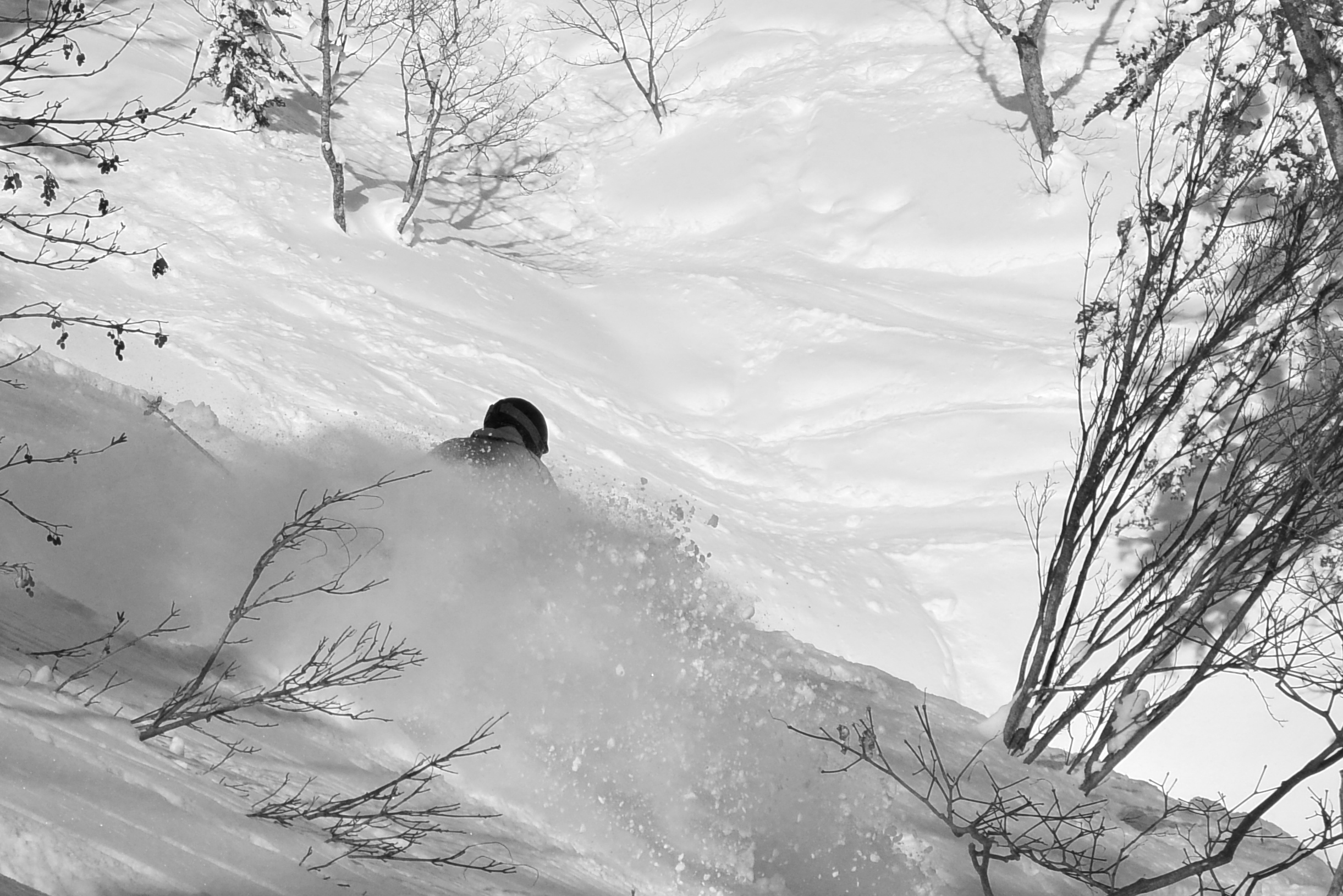 Fresh pow three days after a storm. © The Powder Project Pty Ltd