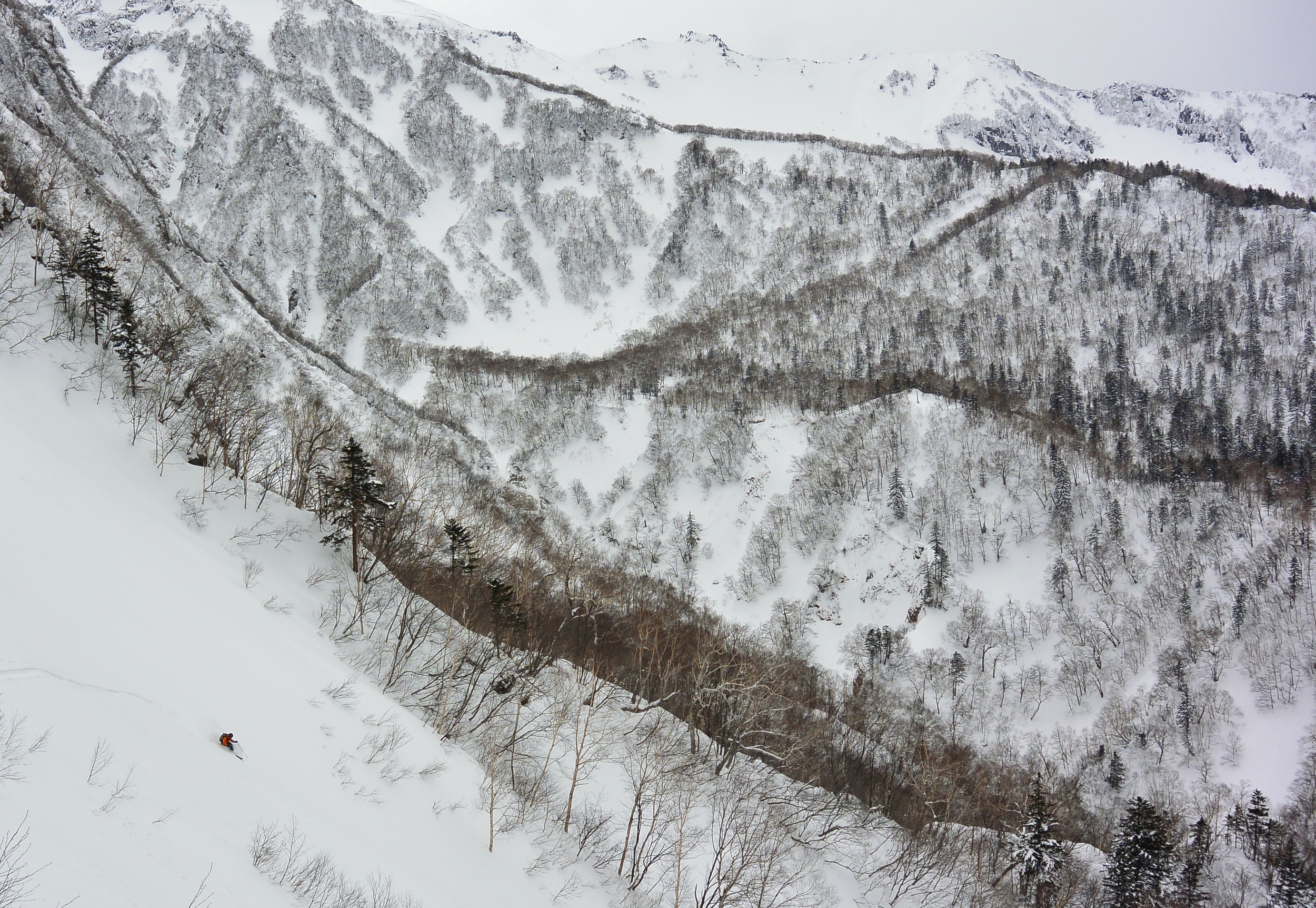It's certainly not Niseko.