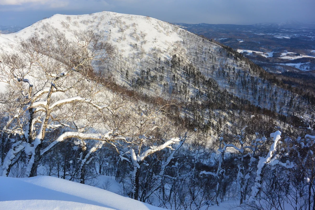 We do backcountry guiding now!