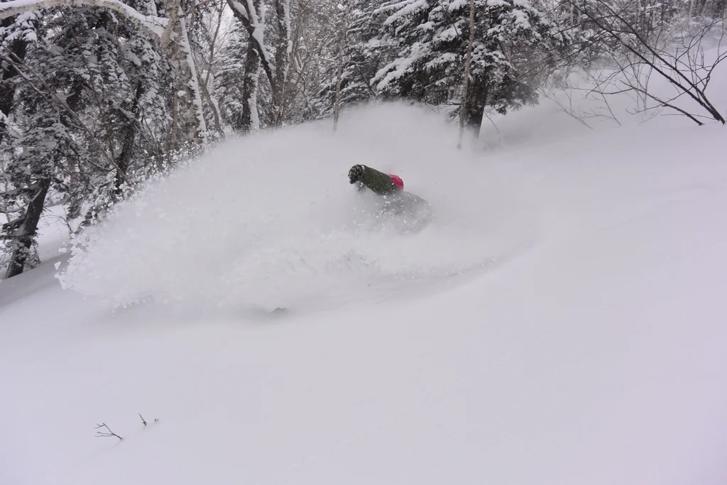 Good times under the gondola. © The Powder Project Pty Ltd