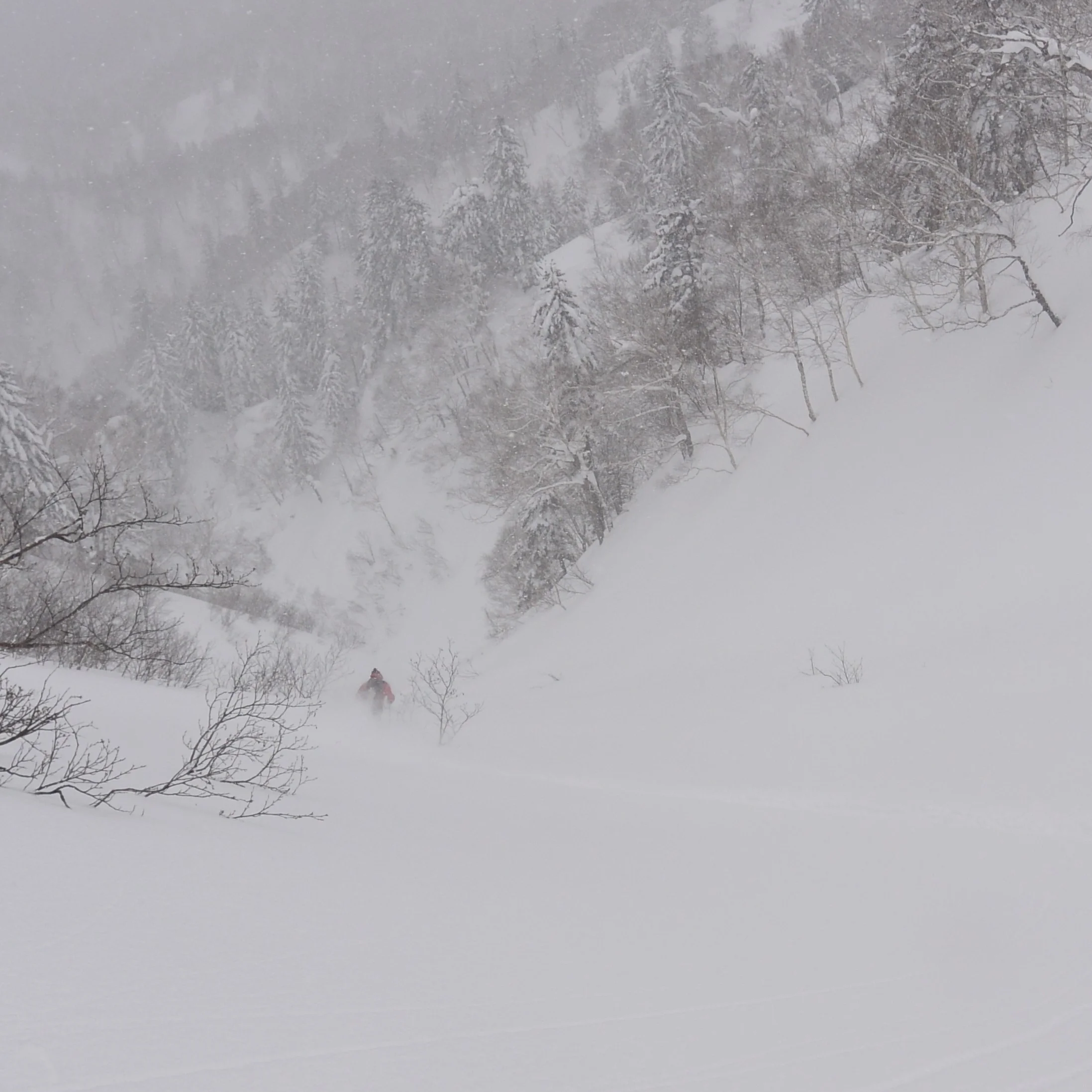 “We arrived in Japan just as a dry spell started. We thought we would be scrounging for leftovers, but John took us to backcountry areas that were still getting sneaky pow. We ended up skiing untracked blower snow for two days, and were the only car in the parking lot both times. We're experienced backcountry skiers, but some local knowledge really helped us make the most of our trip.” — Matt Lum (Vancouver, Canada), Japan 2018