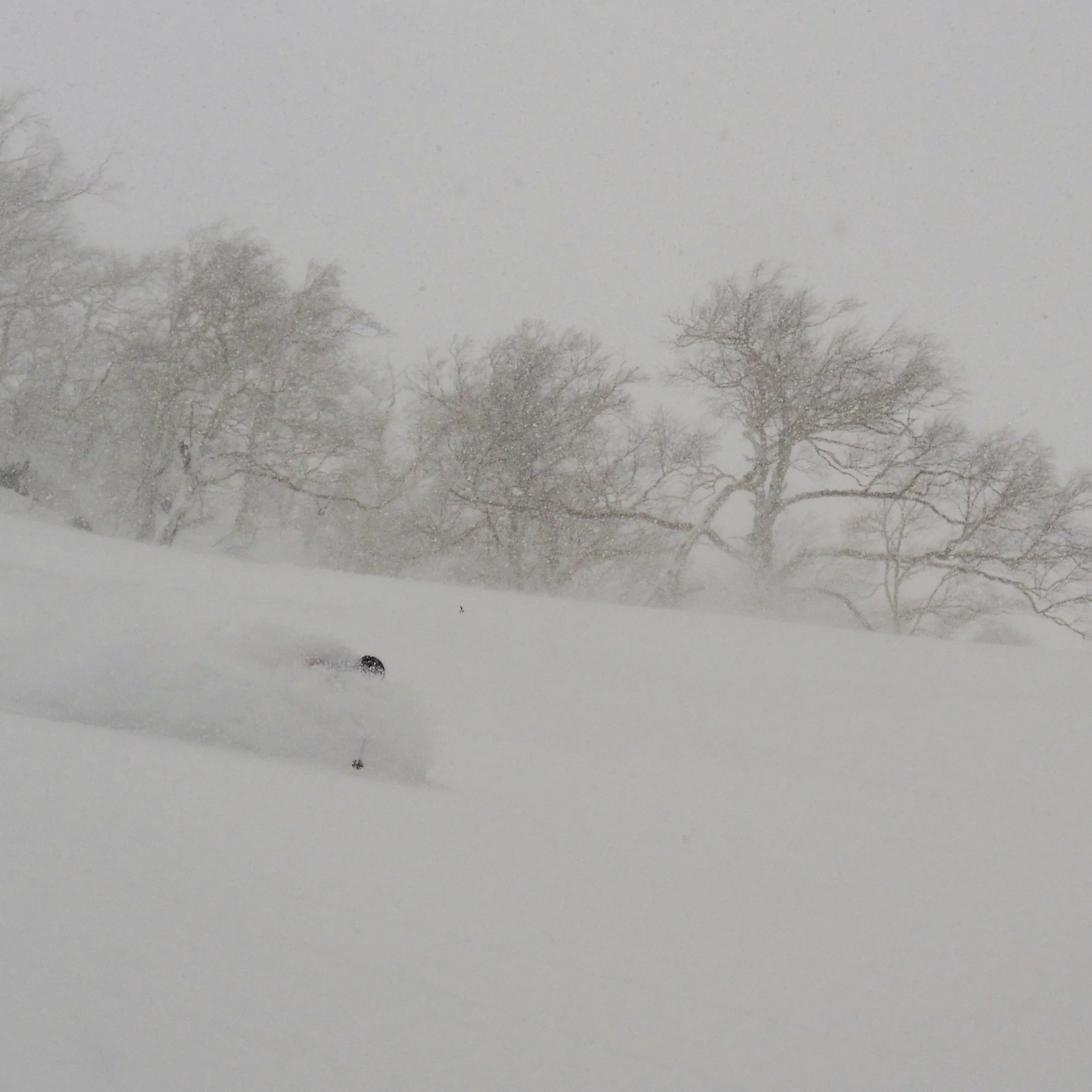 “This was my first foray into backcountry touring, and now I'm not sure I'll ever return to resortland. I had total faith in my guide and easily tapped into the confidence I needed to venture into the most thrilling terrain I've ever skied. The Powder Project will cure any misconception that Hokkaido mountains are 'mellow'—these guys can guide anything and won't quit until they find the perfect untouched powder. Heaps of the stuff. Simply delicious.” — Zack Susel (New York, USA), Japan 2018