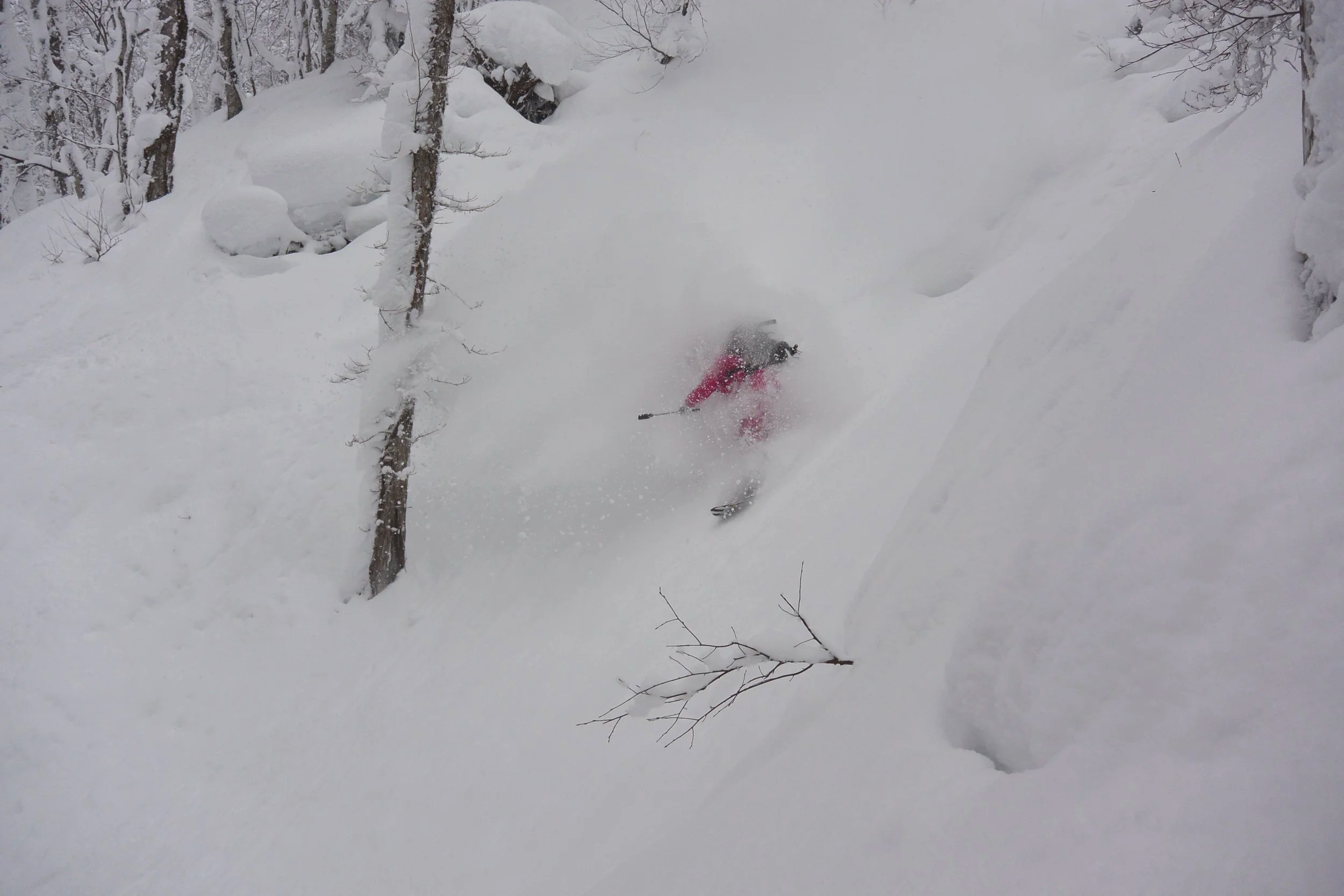 A man in a hot pink ski outfit makes a snowboard turn between trees. He is largely obscured by the powder spray from his turn.