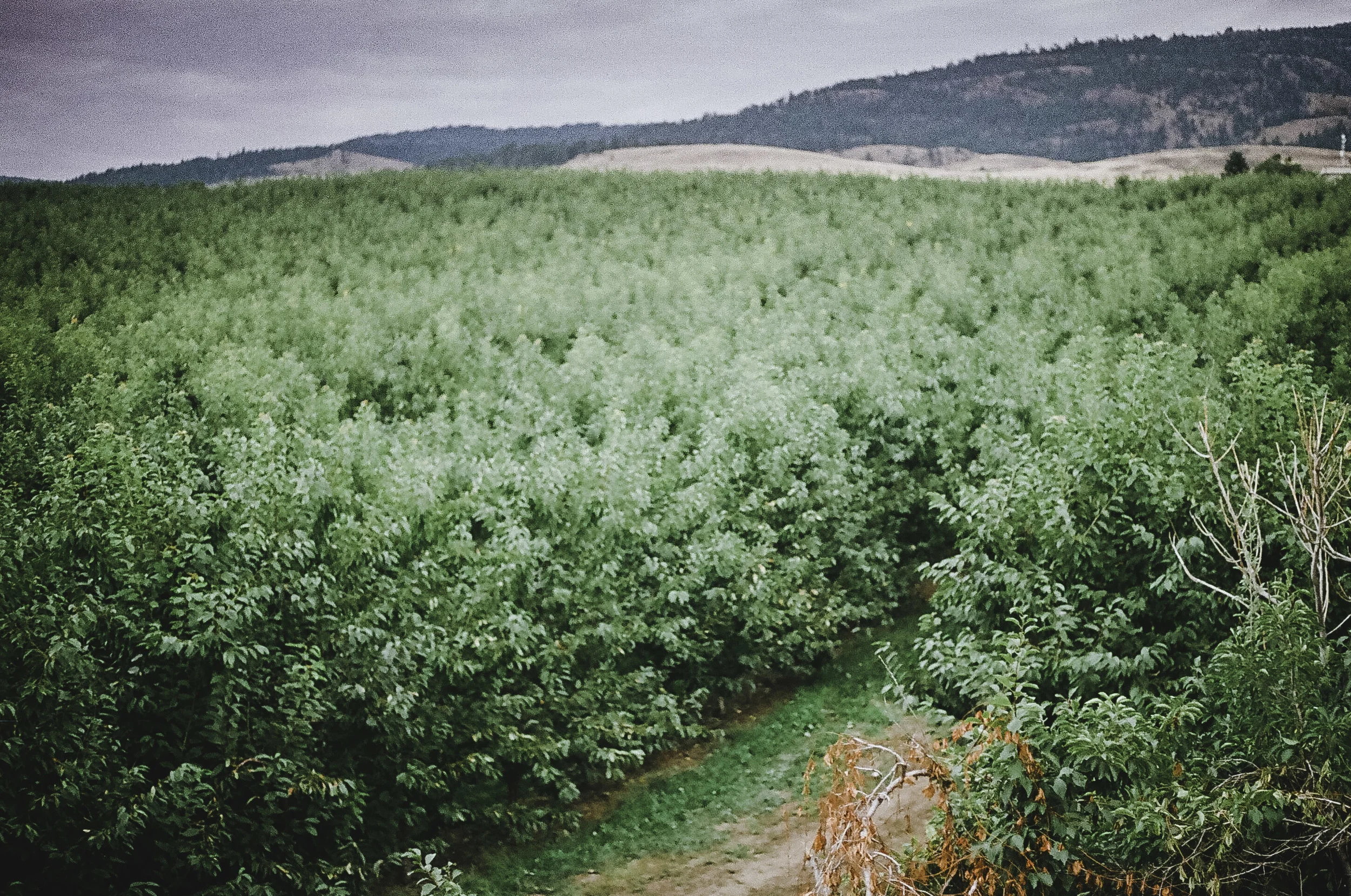 0009_7-3.jpg