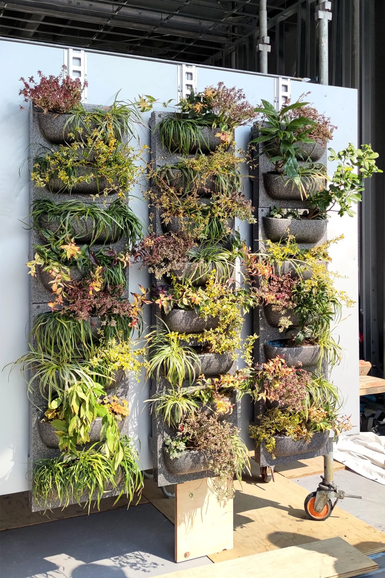 Serbia Pavilion Osaka Expo 2025 - 11.jpg