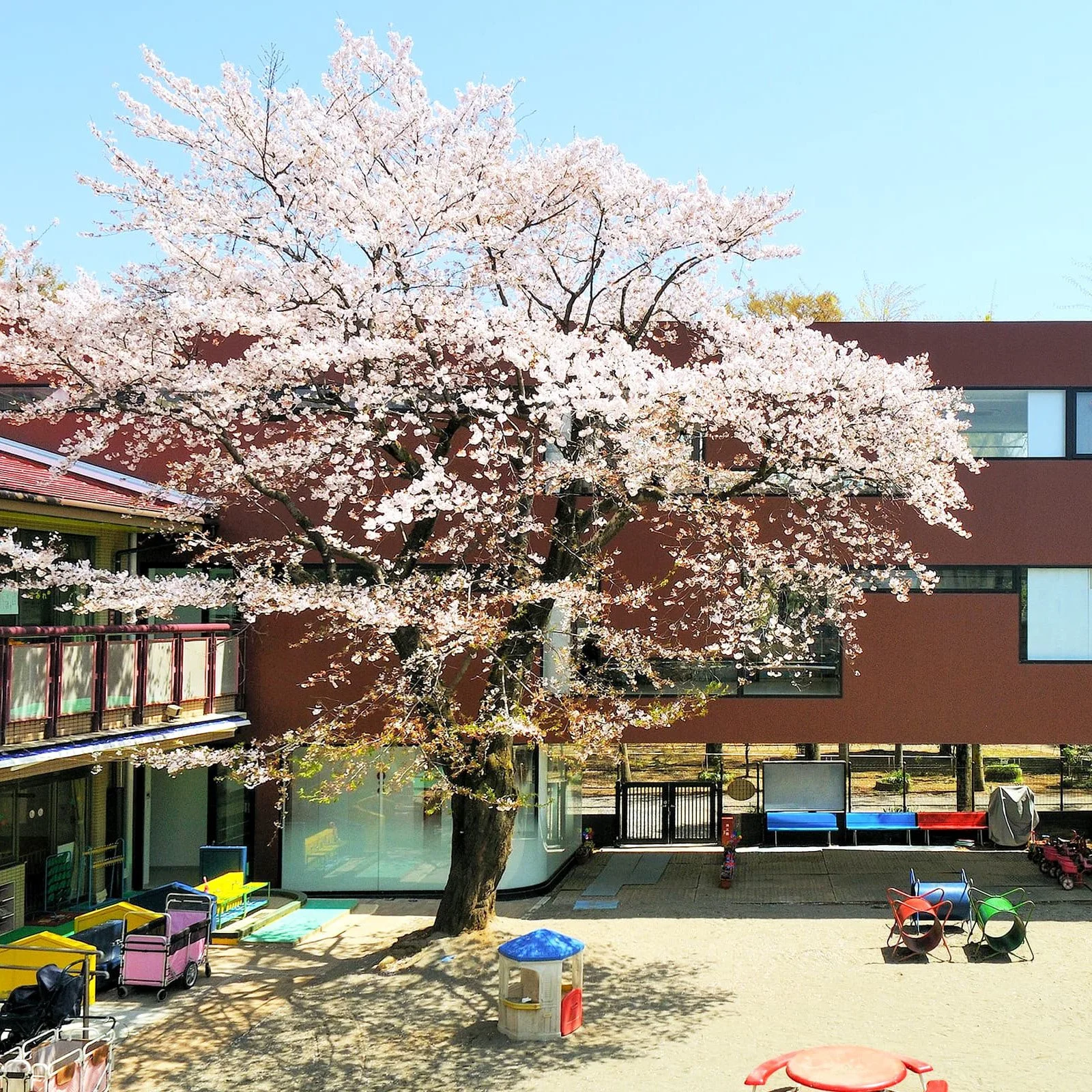 Seiko Midorigaoka Nursery School